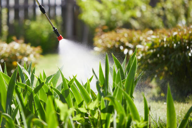 24/7 Emergency Mosquito Control experts in Kinnelon, NJ