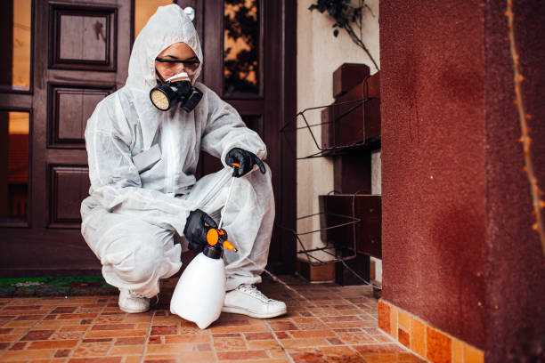 Reliable Mosquito Control contractor in Kinnelon, NJ by Show Me Pest Control